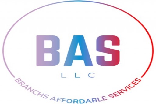 Branchs Affordable Services - Other
